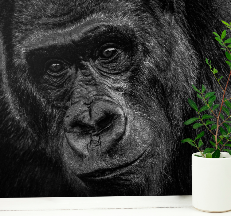 Animal wall mural gorilla close-up - TenStickers