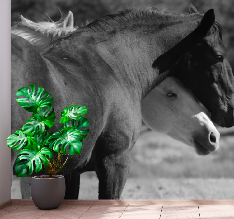 Animal wall mural horse companionship - TenStickers