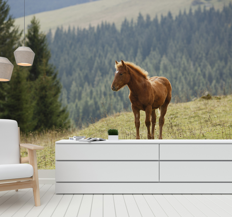 Animal wall mural horse in meadow - TenStickers