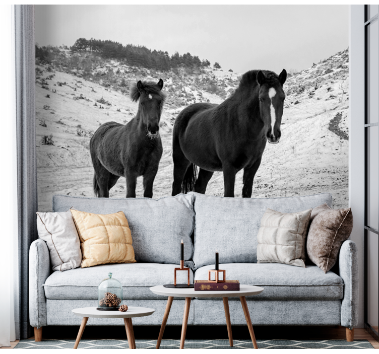 Animal wall mural majestic black horses - TenStickers