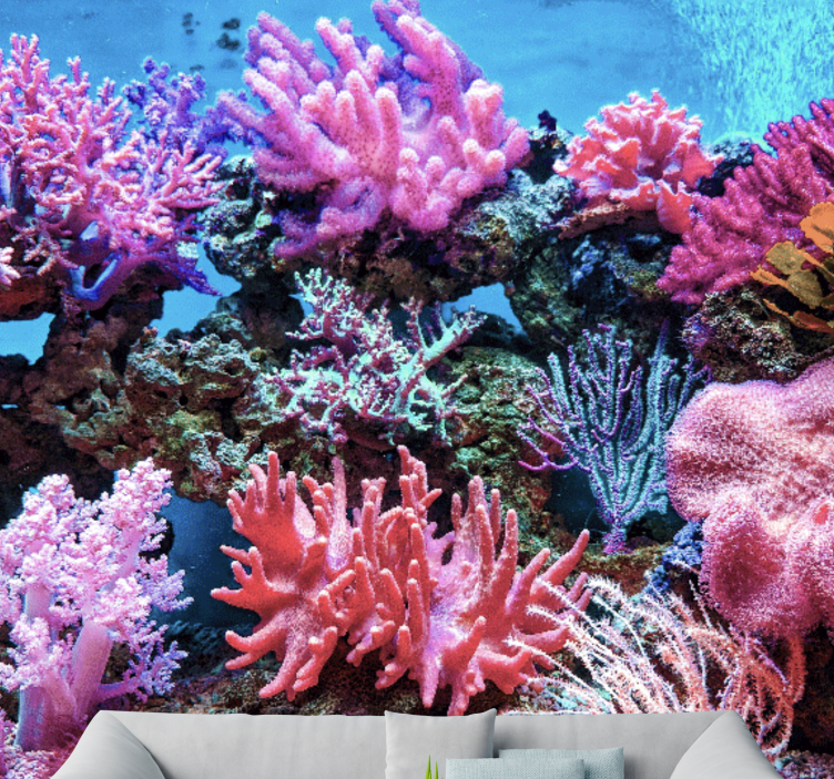 Aquatic Coral Scene sea mural - TenStickers