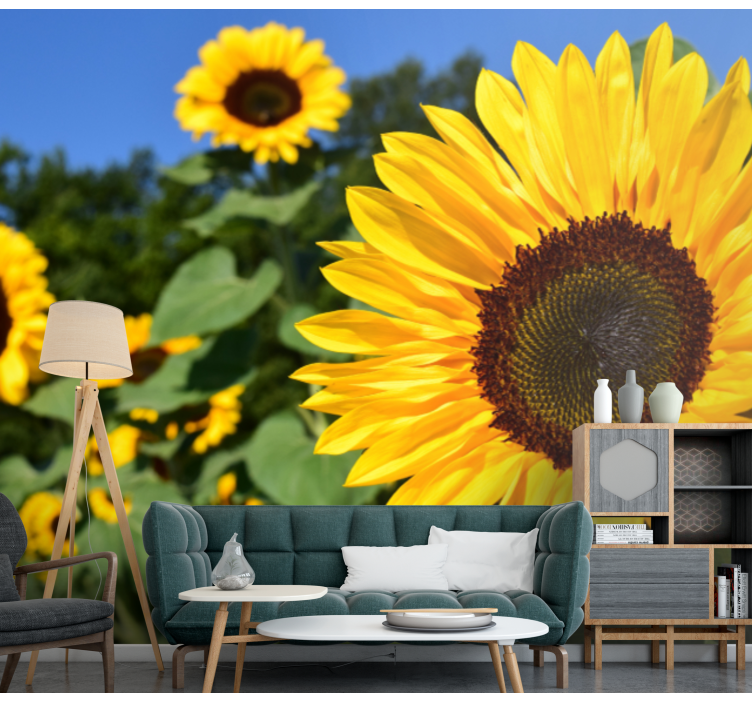 Beautiful sun flower close up wall mural - TenStickers