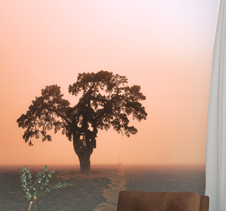 Big trees with fog in a field Forest Wall Mural - TenStickers