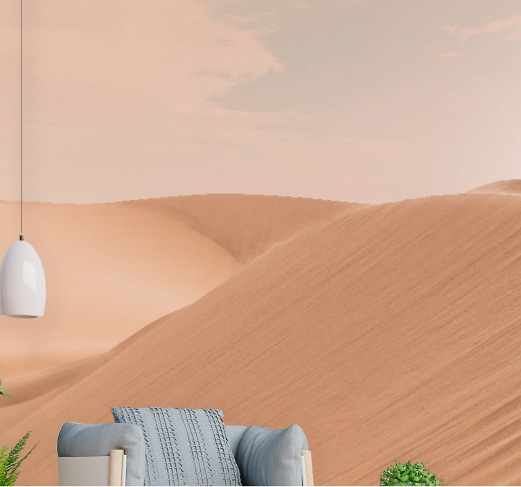 Brown aesthetic desert Hallway Mural - TenStickers