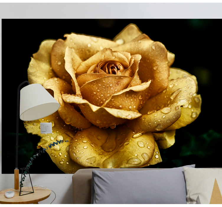 close up golden rose rose wall mural - TenStickers