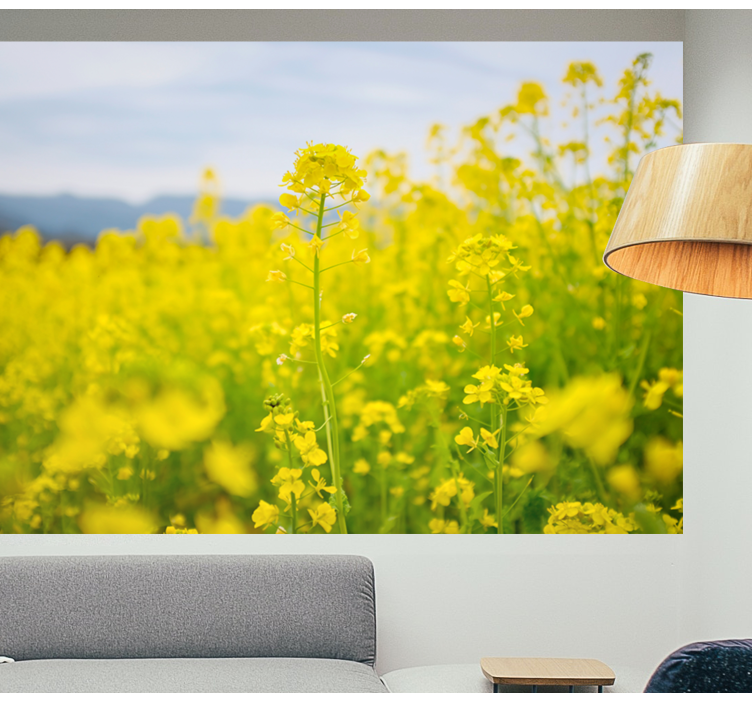 Colored yellow flowers field wall mural - TenStickers