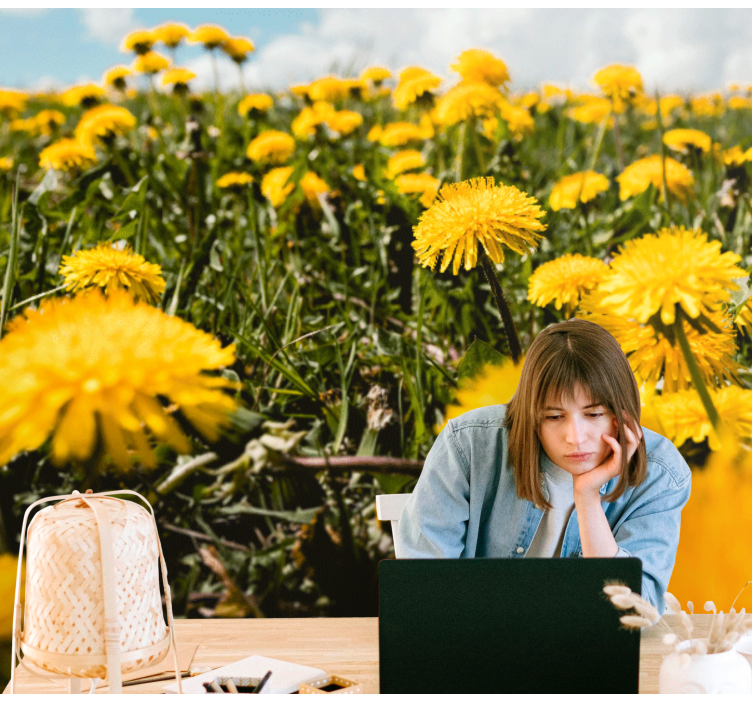 Dandelion mural dandelion field view - TenStickers