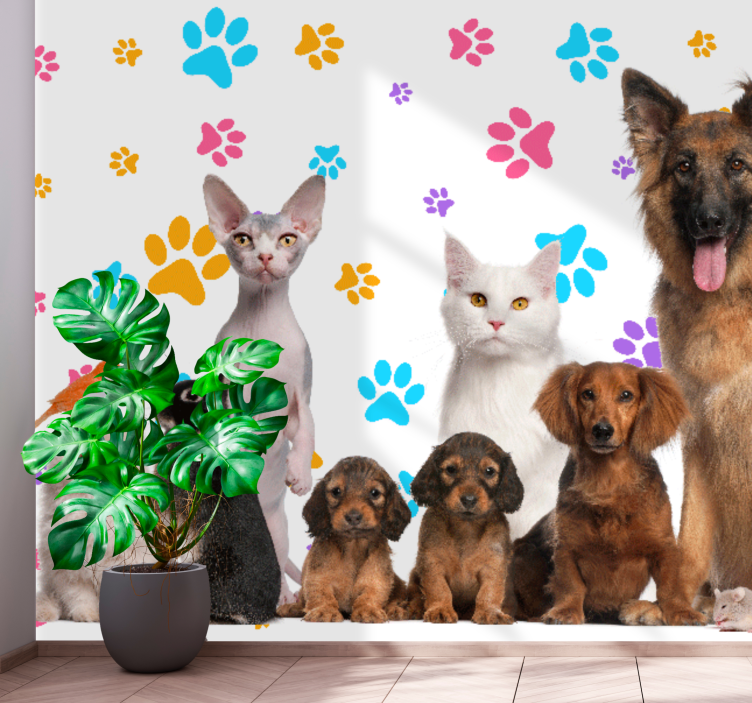 Dogs and cats paw  wall mural - TenStickers
