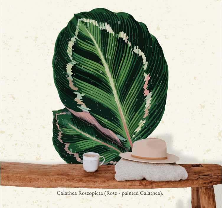 Flower mural calathea leaf art display - TenStickers