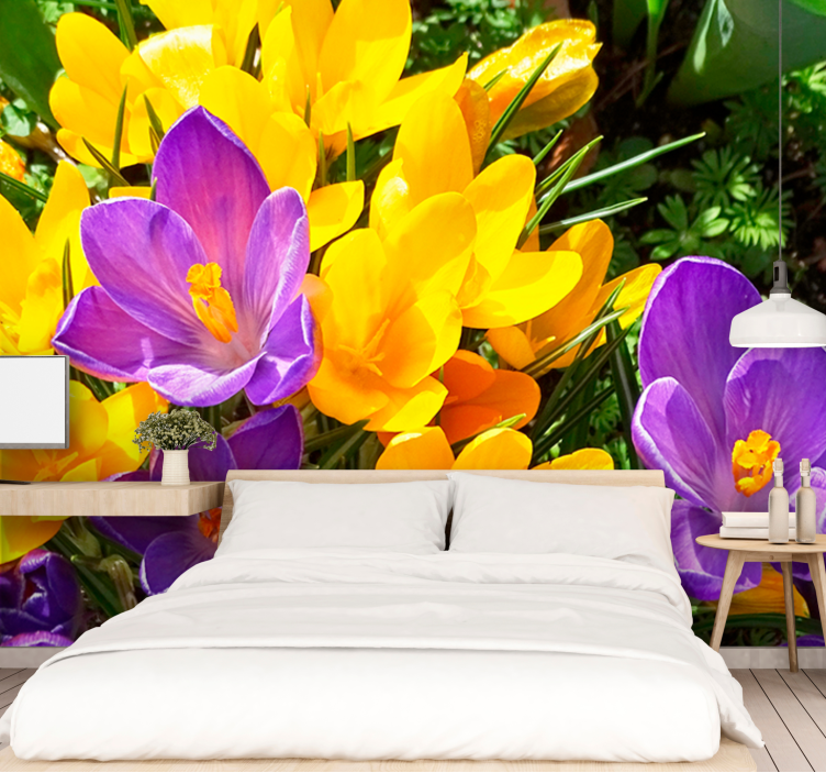 Flower mural colorful crocus blooms - TenStickers