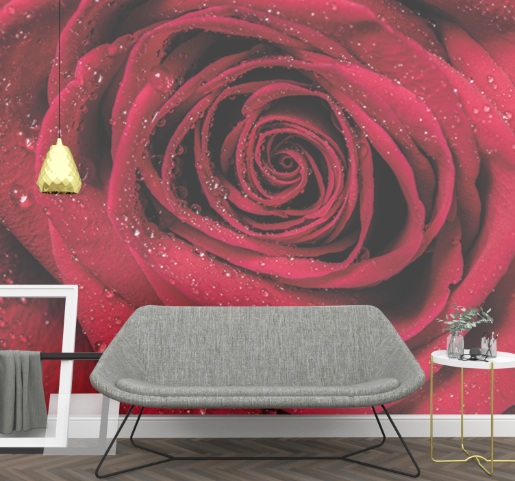 Flower mural rose with water droplets - TenStickers