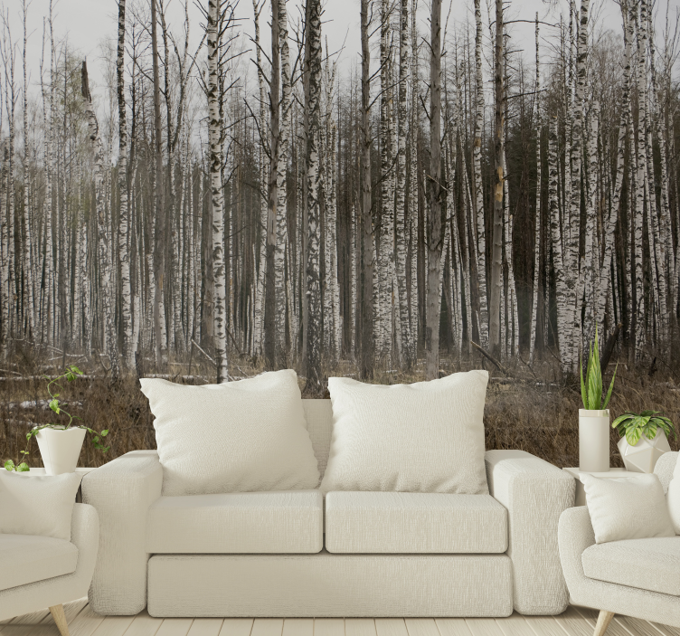 Forest wall mural birch grove wilderness retreat - TenStickers