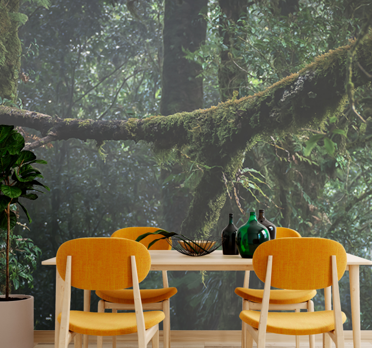 Forest wall mural lush green tree canopy - TenStickers