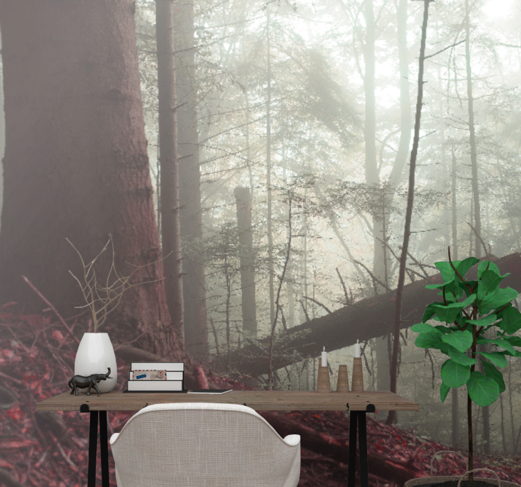 Forest wall mural misty woodland view - TenStickers