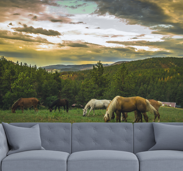 Herd of horses animal wall mural - TenStickers