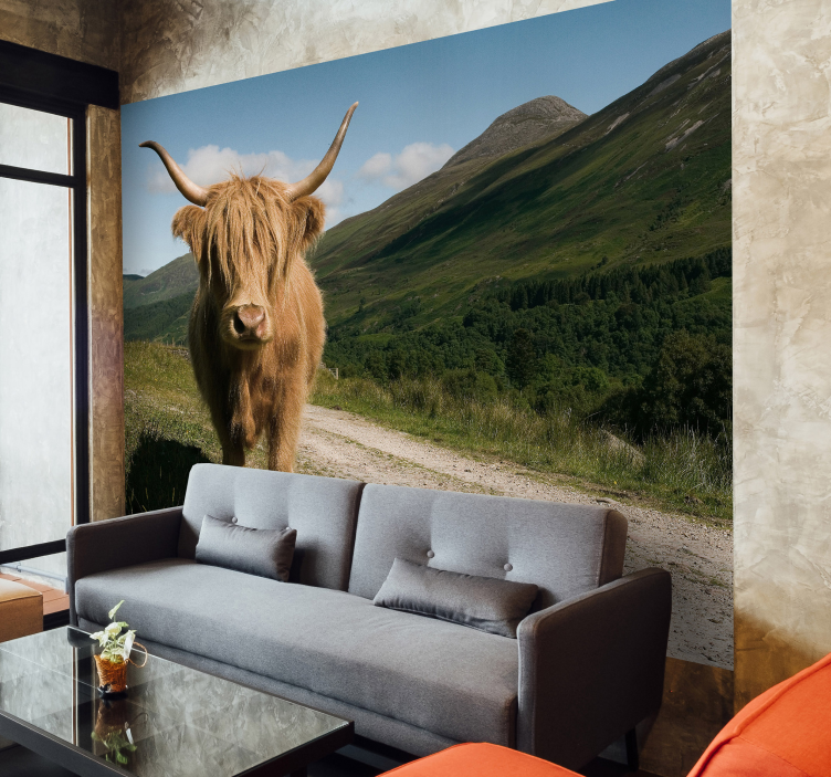Highland Cattle Portrait animal wall mural - TenStickers