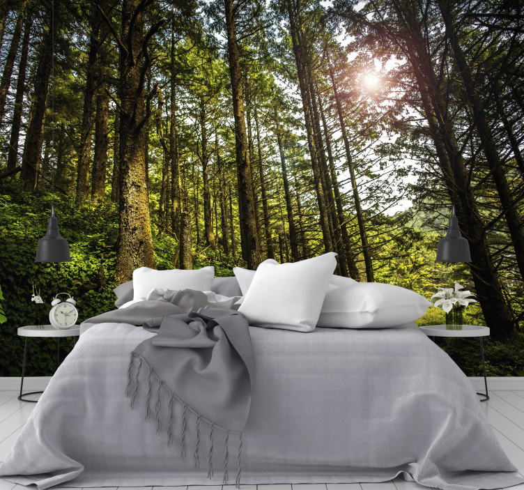 Illuminated Woodland Trail forest wall mural - TenStickers