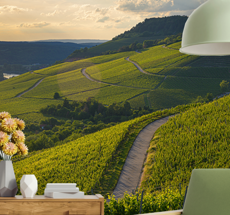 Landscape mural wallpaper vineyard slopes - TenStickers
