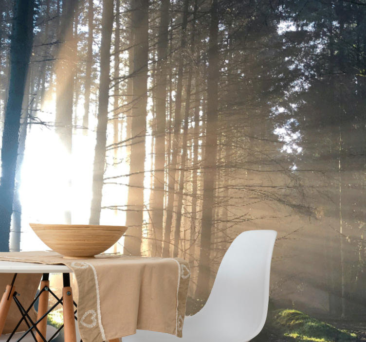 Lit forest path forest wall mural - TenStickers