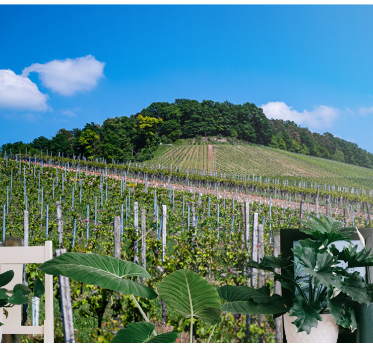 Lush Vineyard Hills landscape mural wallpaper - TenStickers