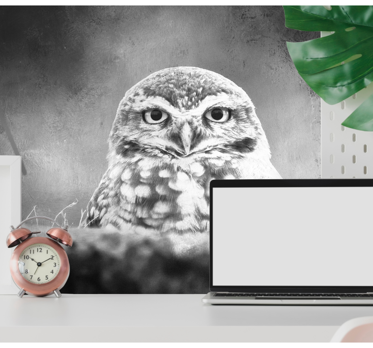 Majestic Owl Portrait animal wall mural - TenStickers