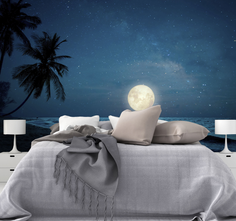 Moonlit Ocean Scene nature wall mural - TenStickers