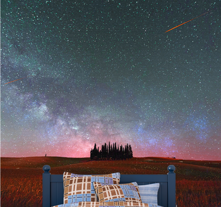 Mountain wall mural starlit milky way - TenStickers