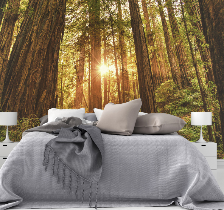Mystical morning forest wall mural - TenStickers