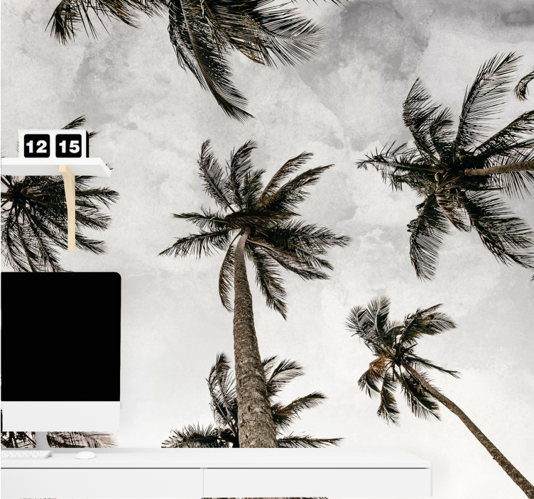 Nature wall mural palm tree canopy - TenStickers