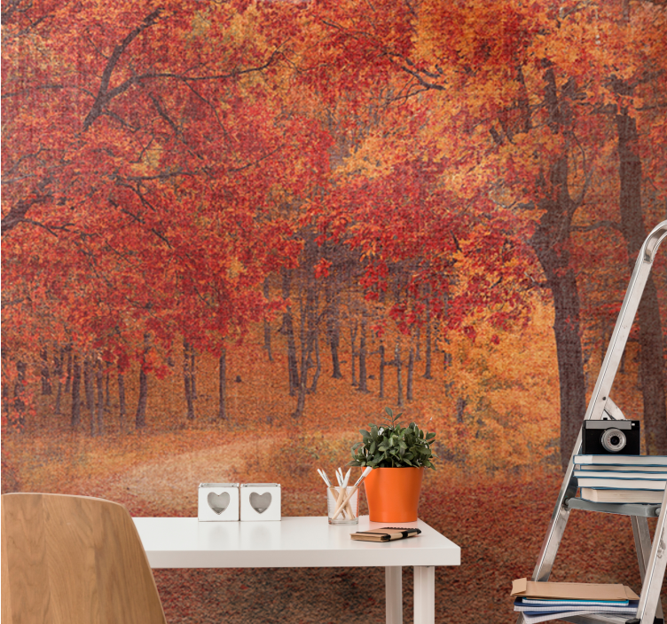 Nature wall mural rustic autumn pathway - TenStickers