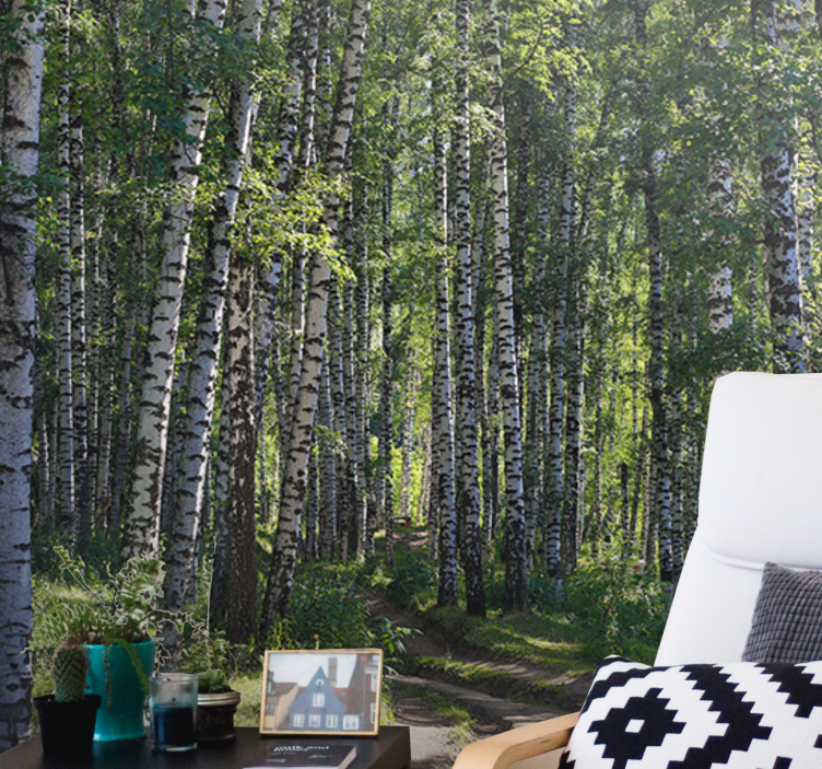 Nature wall mural serene birch forest - TenStickers