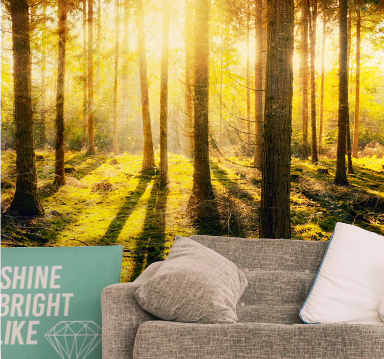 Nature wall mural sunlit forest scene - TenStickers
