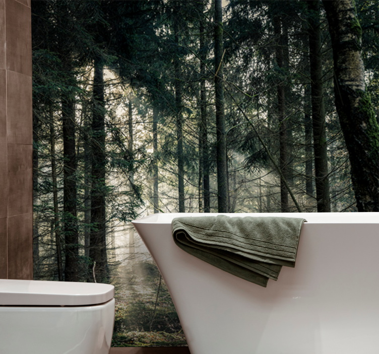 Nature wall mural tranquil woodland view - TenStickers