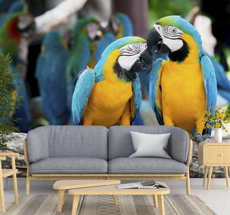 Parrot Pair Encounter animal wall mural - TenStickers