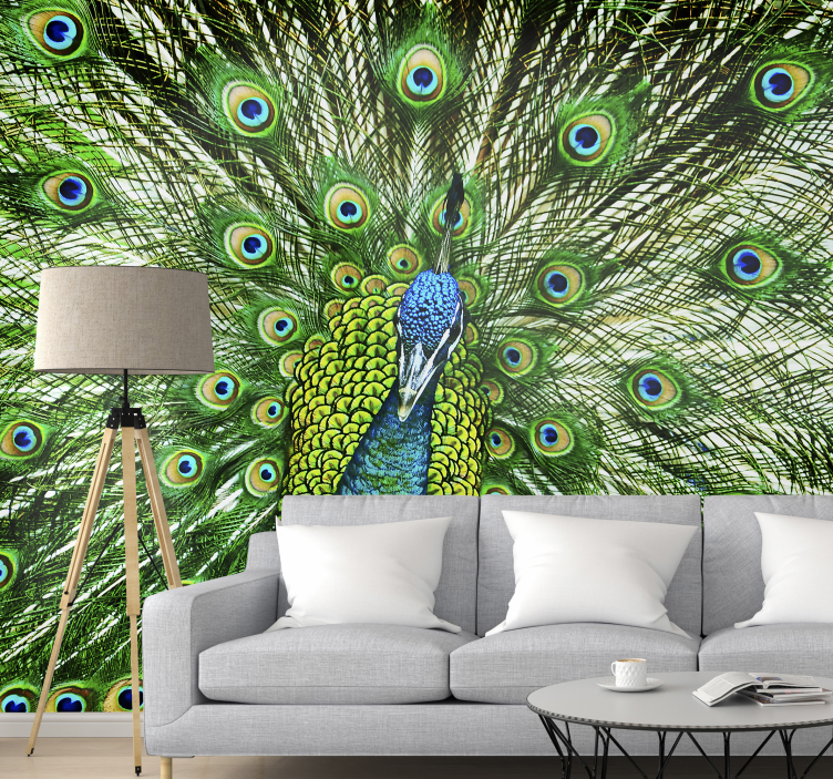 Colourfull Peacock wall mural - TenStickers