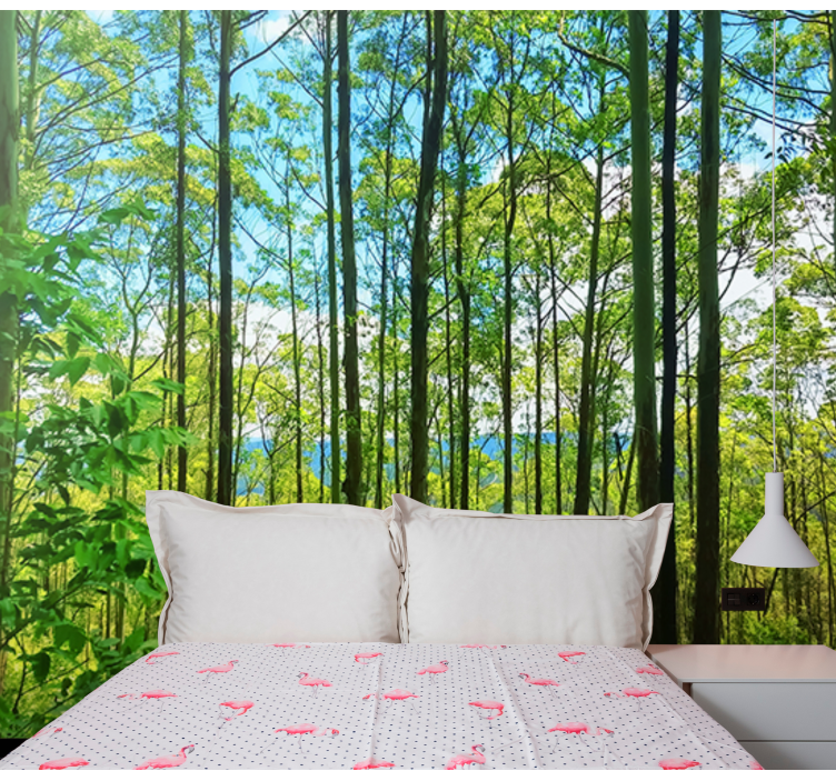 Polish forest birches nature wall mural - TenStickers