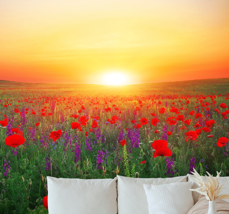 Poppy wall mural golden sunset poppies - TenStickers
