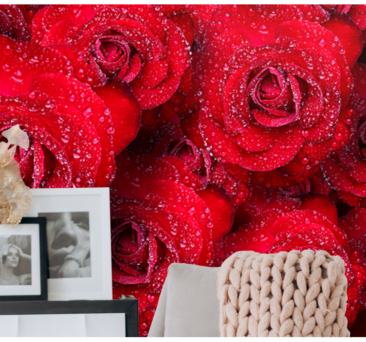 Red Blooming Roses rose mural - TenStickers