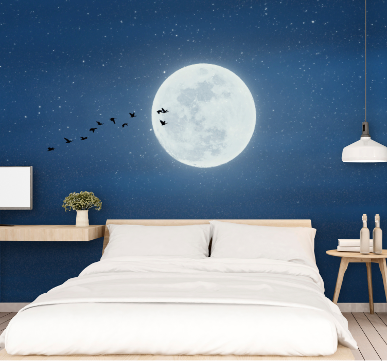 Sky mural mysterious night sky - TenStickers