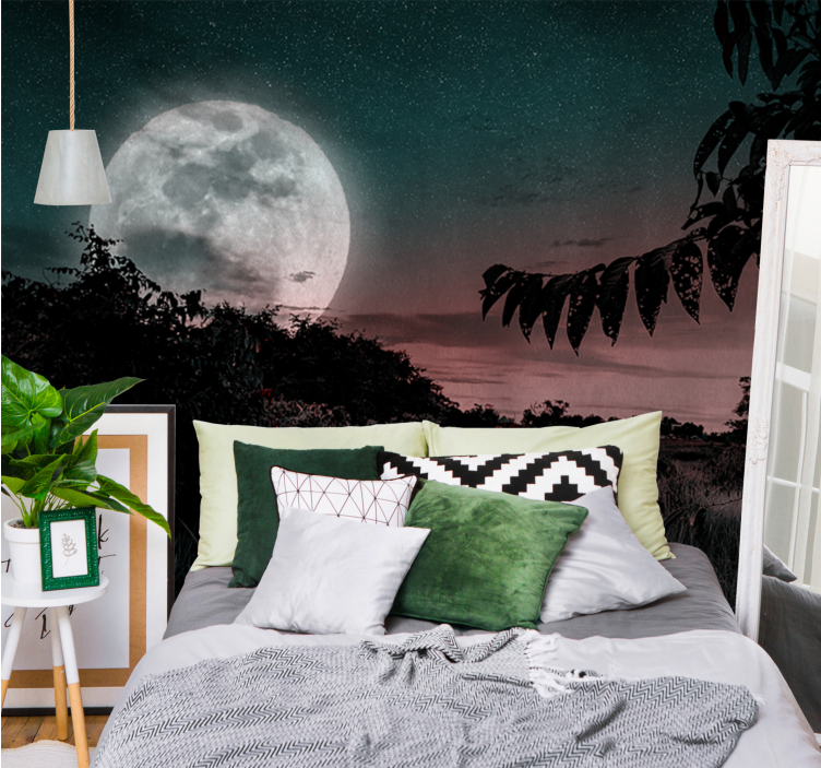 Space mural luminous moonlit night - TenStickers
