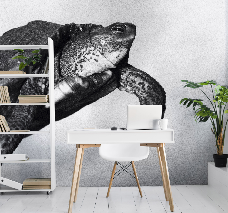 Turtle swimming wall mural - TenStickers