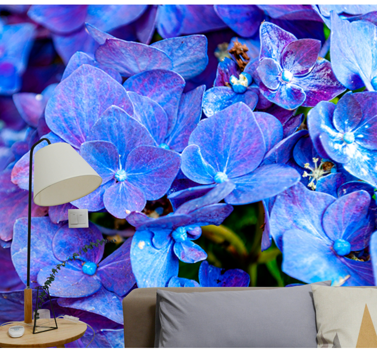 Vibrant Hydrangea Blooms flower mural - TenStickers