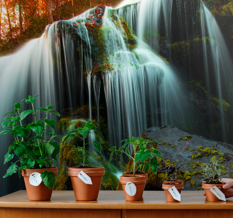 Waterfall mural gentle falling water - TenStickers