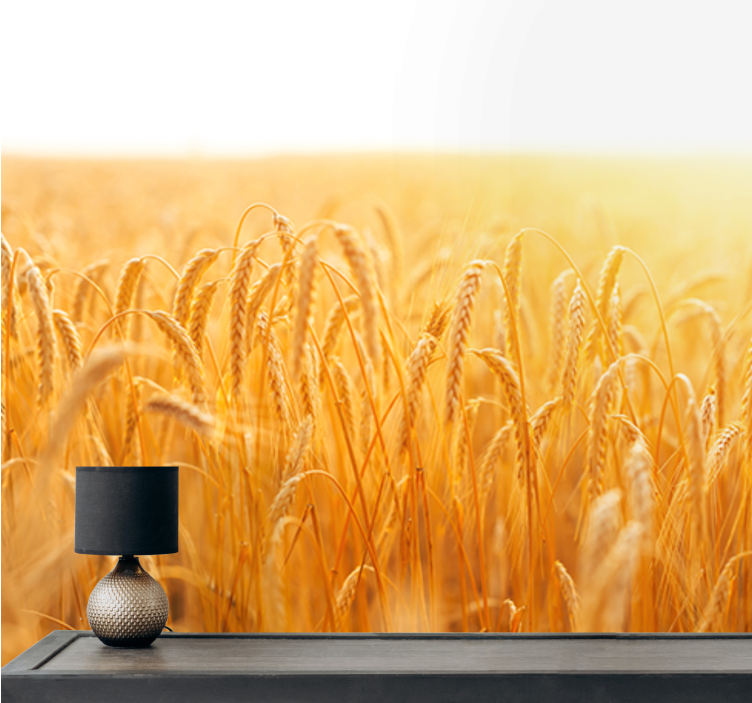 Wheat field aesthetic colours nature wall mural - TenStickers