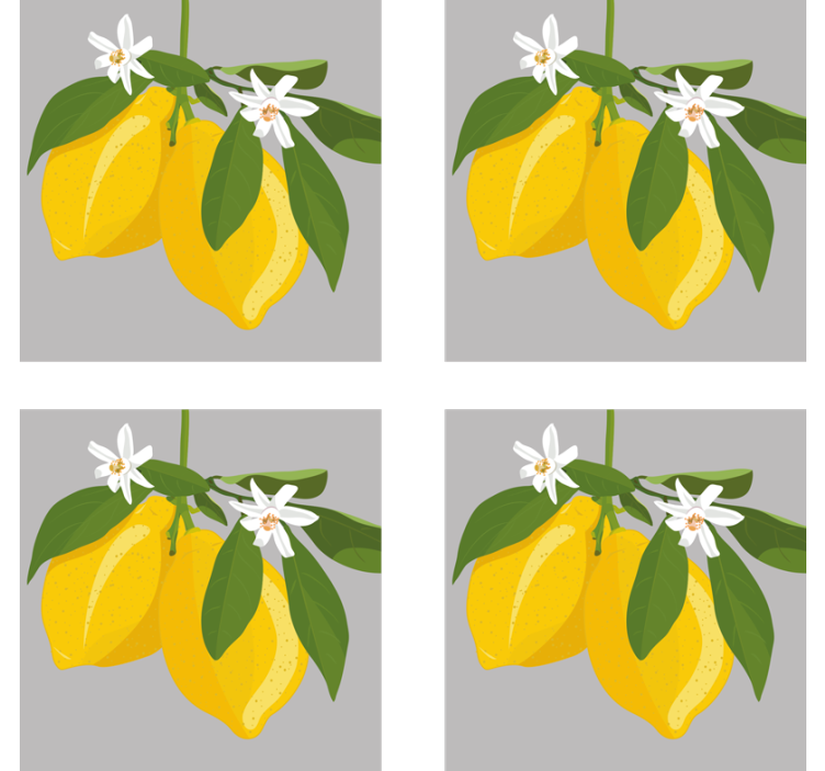 Modern coasters yellow lemons with leaves - TenStickers