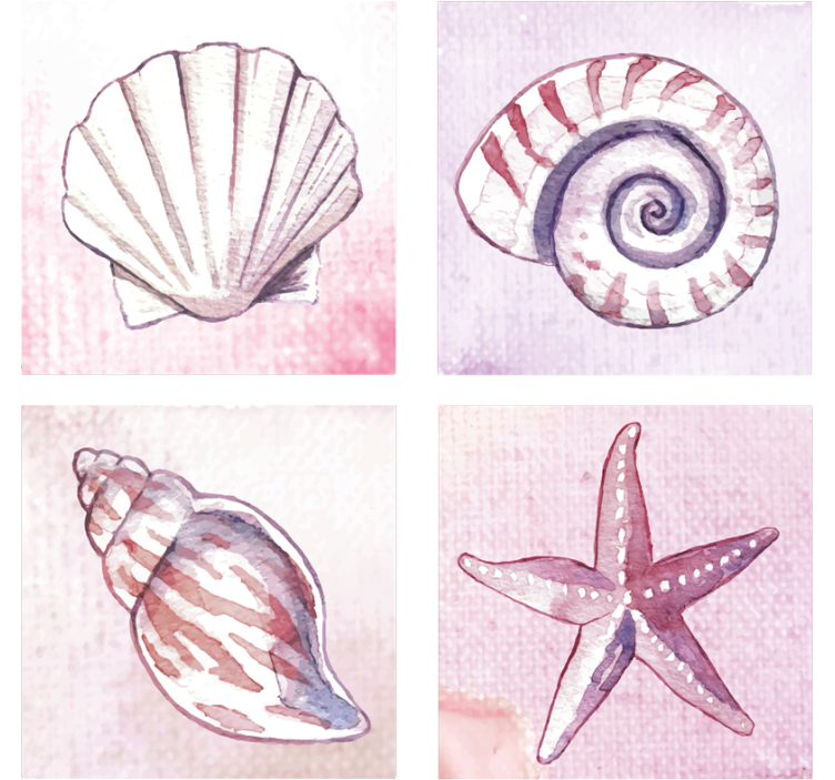 Natural shell watercolors coaster - TenStickers