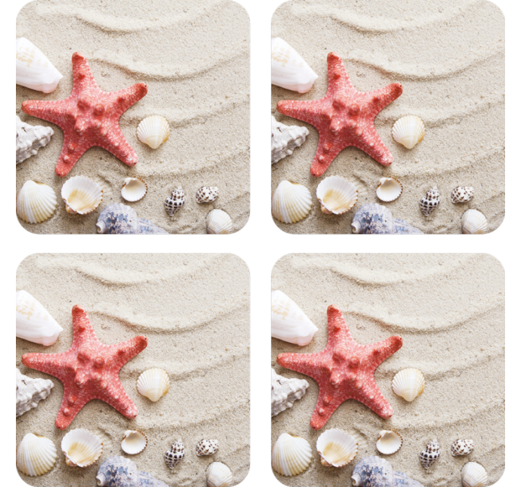Modern coasters with starfish and seashell accent - TenStickers