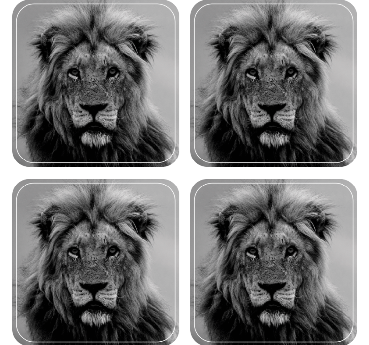 Modern coasters majestic lion portraits - TenStickers