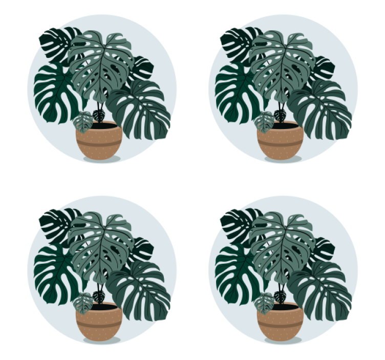 Modern coasters monstera plant design - TenStickers