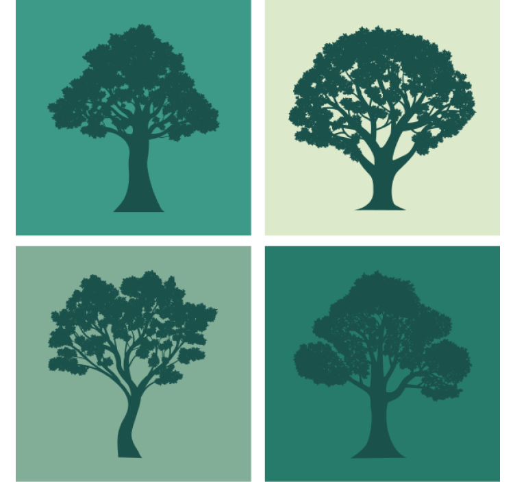 Coaster silhouette trees collection - TenStickers